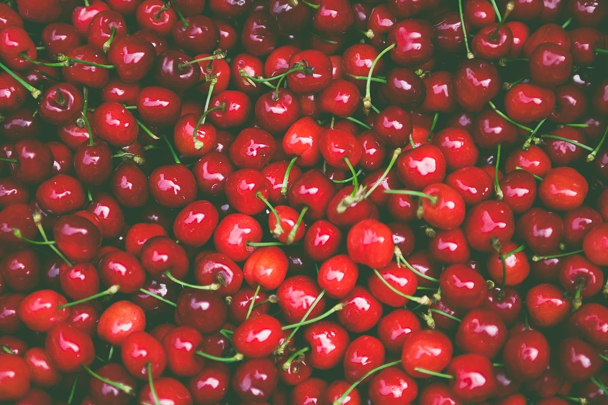 India exports first commercial shipment of Kashmir’s Mishri cherries to Dubai