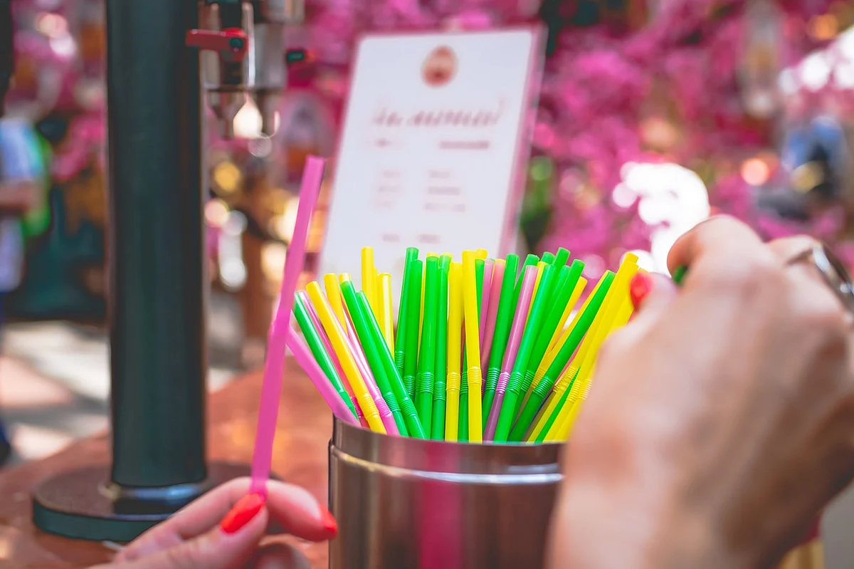 Government notifies rules to prohibit single-use plastic items by 2022