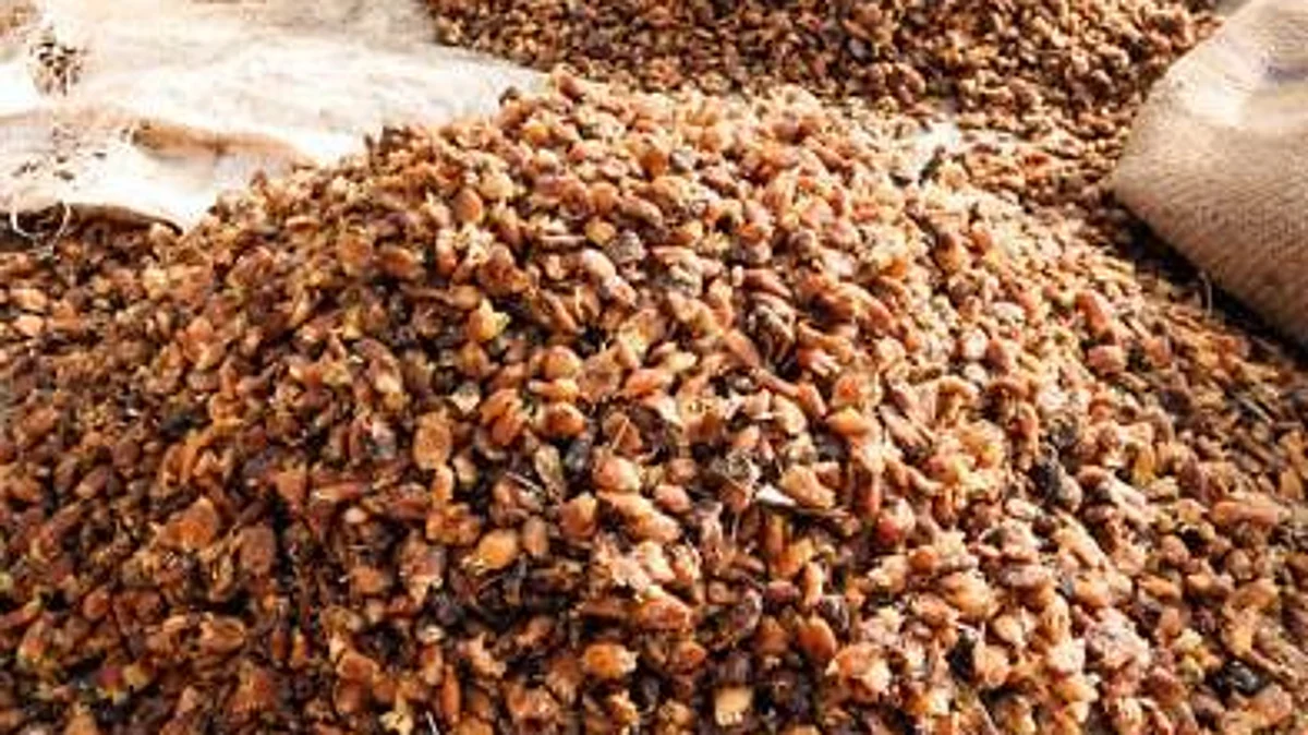 Mohua flower from Chhattisgarh & Himalayan Goat meat from Uttarakhand exported to France & UAE