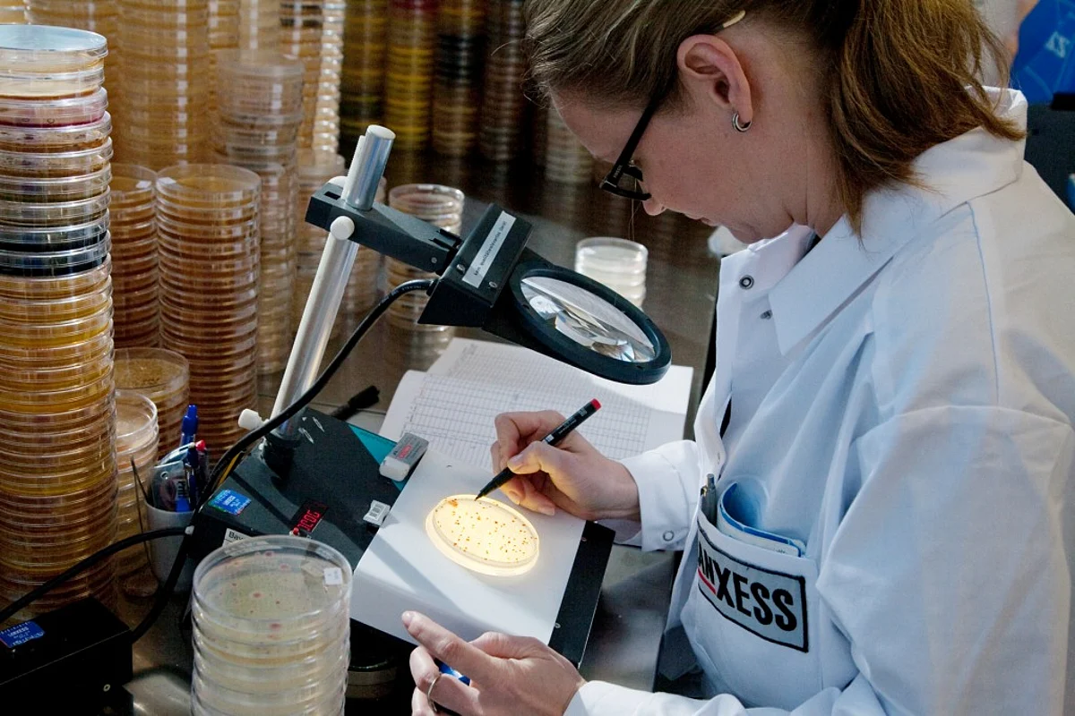 LANXESS to acquire IFF's microbial control business