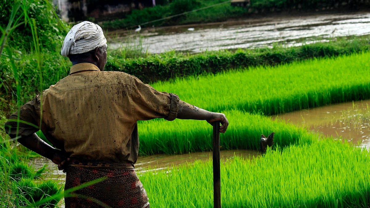 Innoterra-TRIF-BCI trilateral collaboration to work with UP Rural Livelihoods Mission