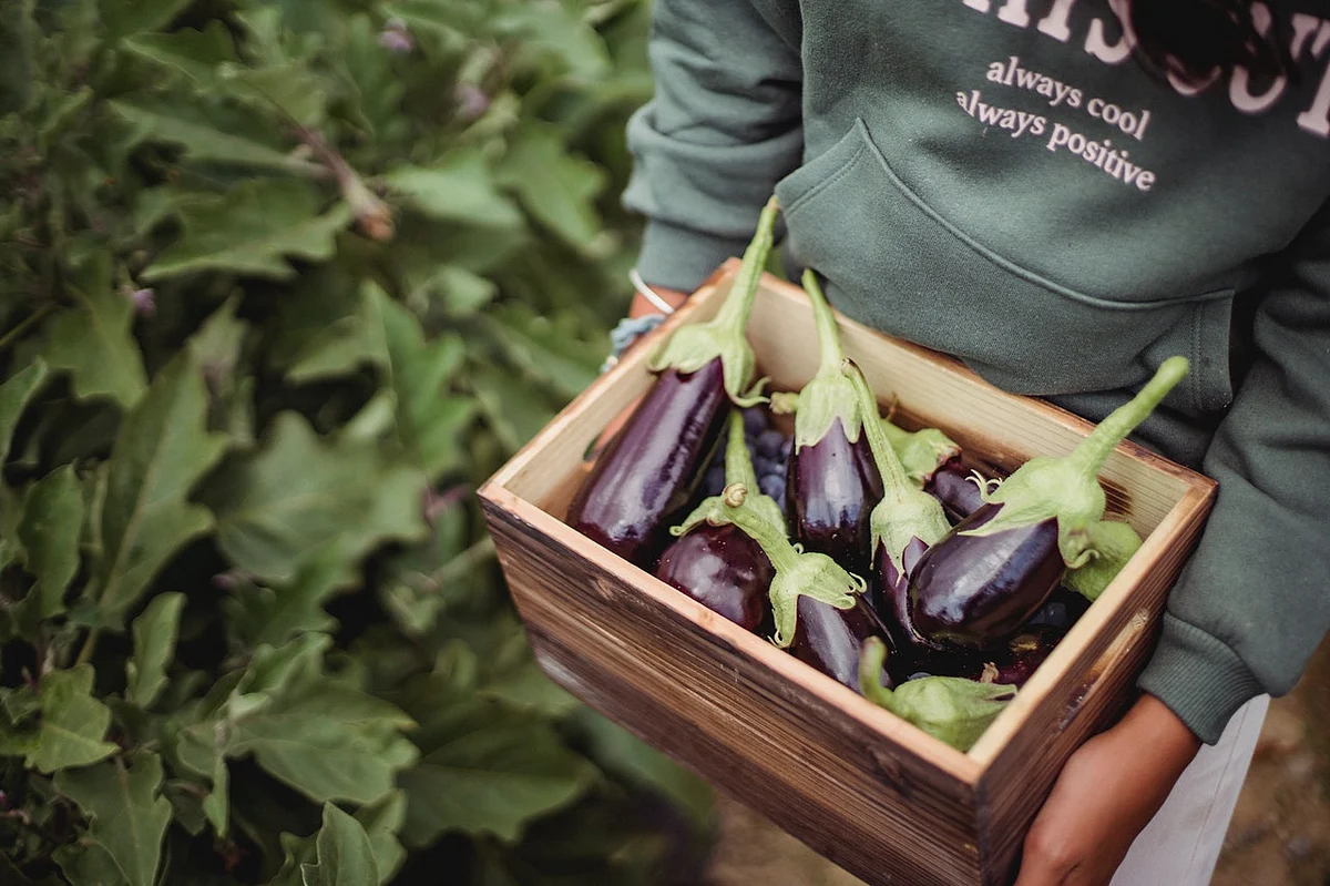 Agri10x, blockchain-enabled, farmer eMarketplace eyes Rs 1000 crore