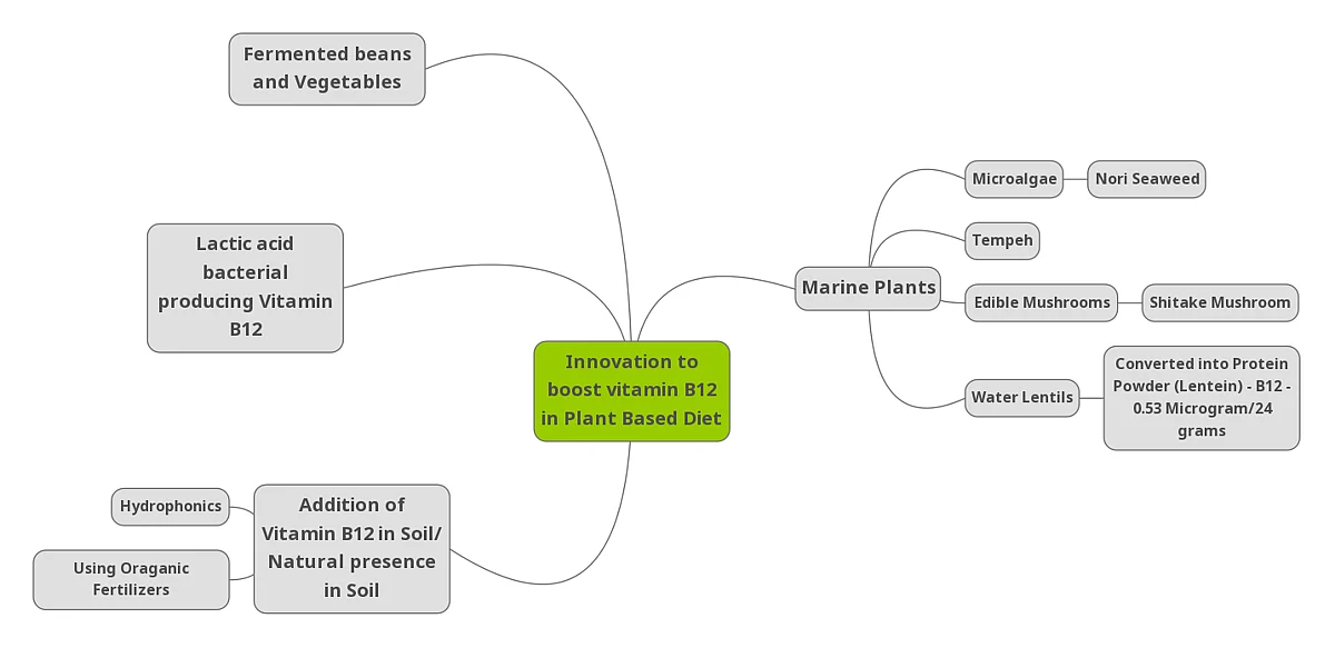 Mind map depicting various Innovations to Boost Vitamins B12
