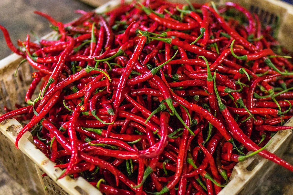 Be'nishan Signs MoU with WayCool Foods to deliver perishable produce