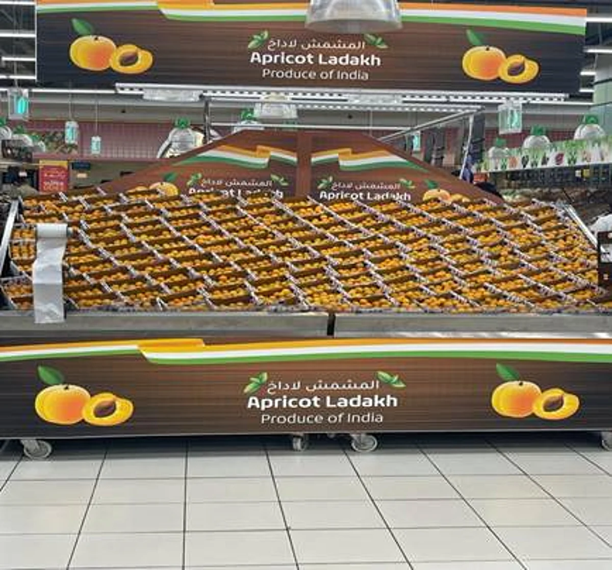 First consignment of Ladakh apricot exported to Dubai