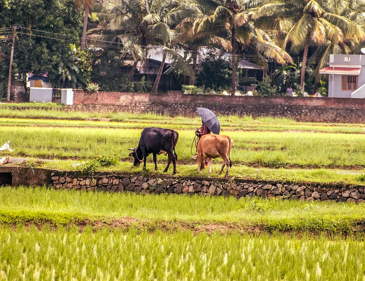 Skymet & Gramcover launches Kharif crop outlook report 2021- 22