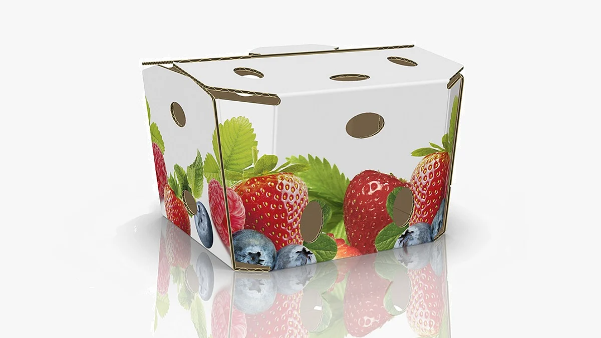 Stora Enso wins four ScanStar packaging design awards