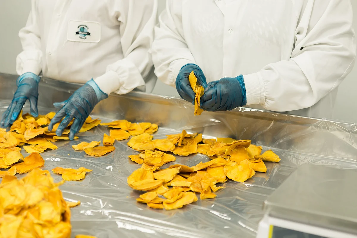 Food Tech Summit 2021 organized by the Mofpi on ‘World Food Day’