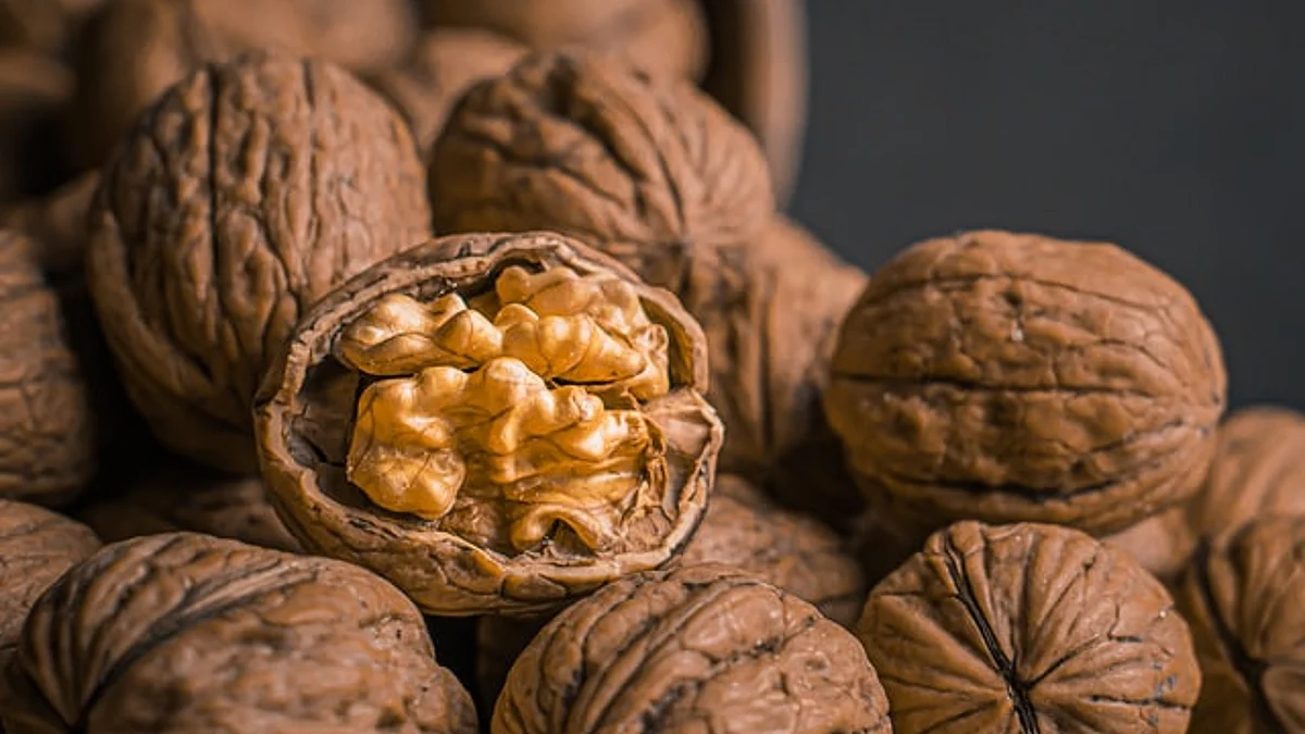 First consignment of Kashmir walnuts from Budgam despatched