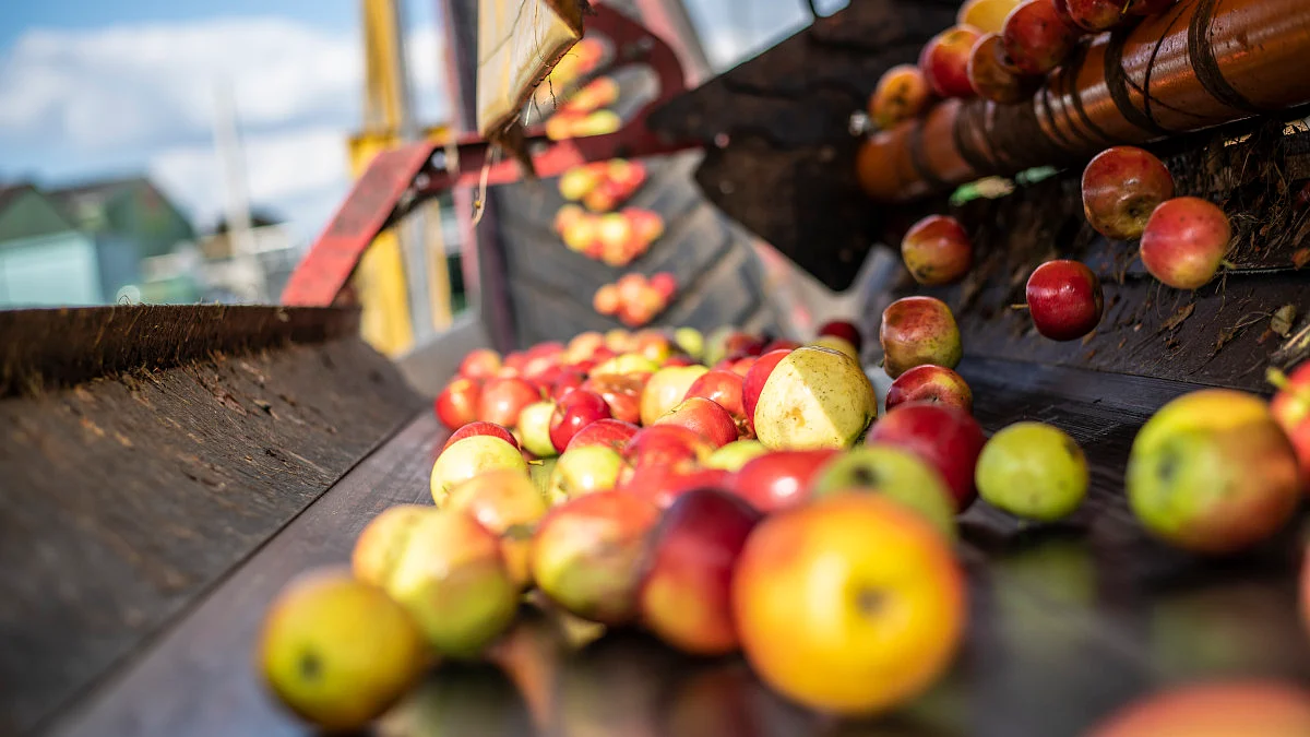 GEA & Better Juice put lower-sugar fruit drink innovation into commercial production