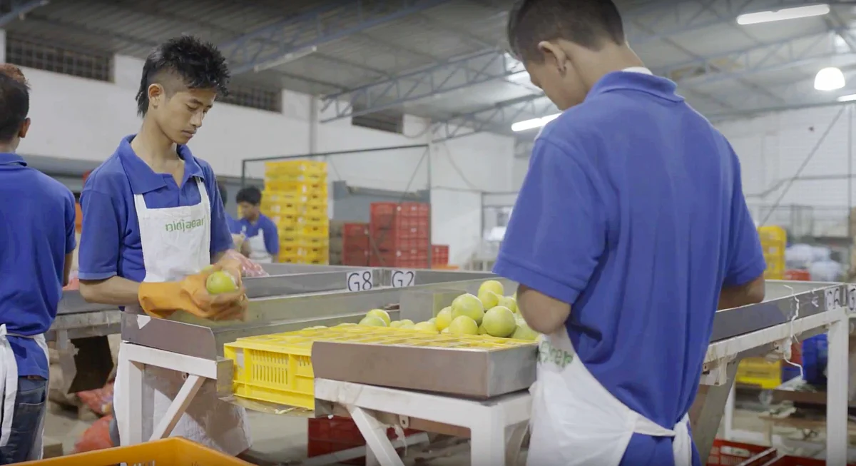 Flipkart & Walmart announce a fresh round of investment in Ninjacart