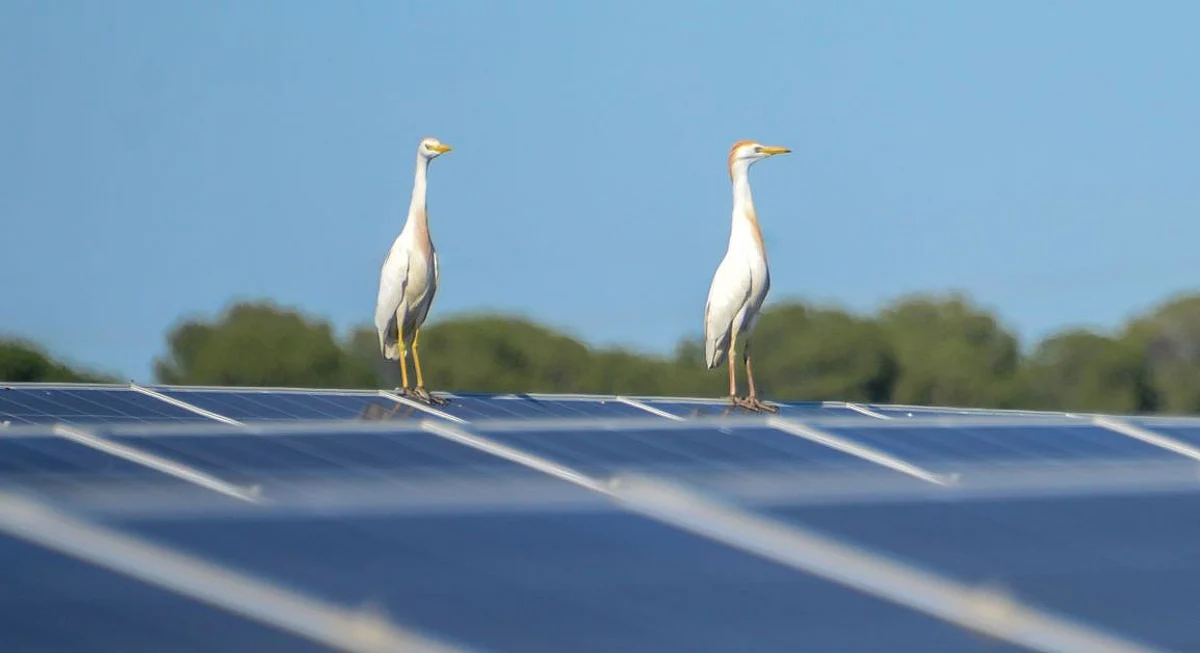 Huhtamaki signs the largest solar Power Purchase Agreement in the packaging industry in Europe