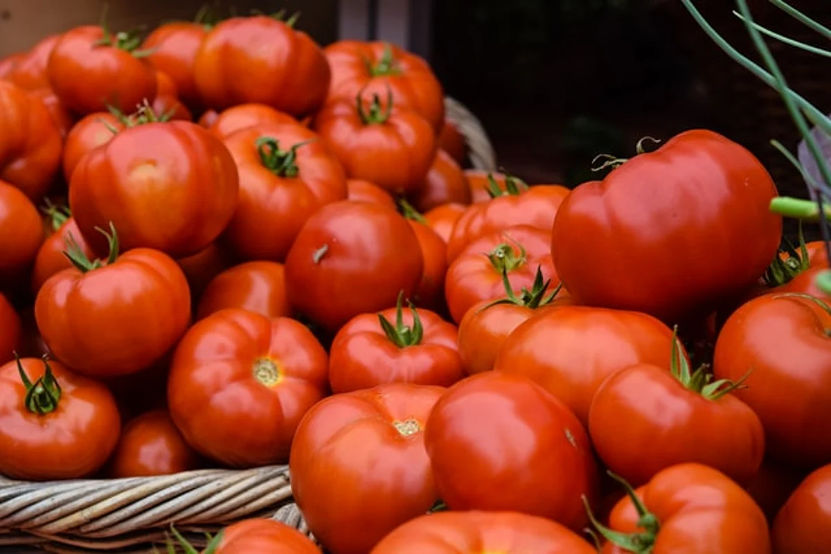 Europe's Impact fund Huruma invests US $ 11.6 million in WayCool Foods