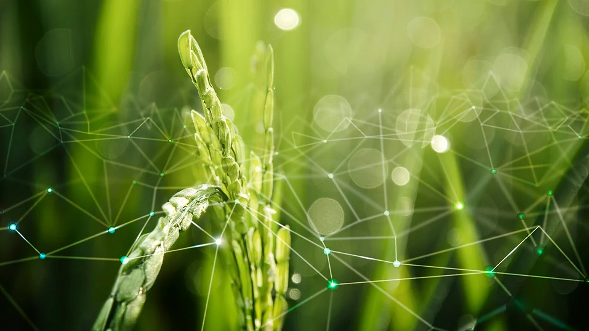Can agri-tech meet zero hunger?