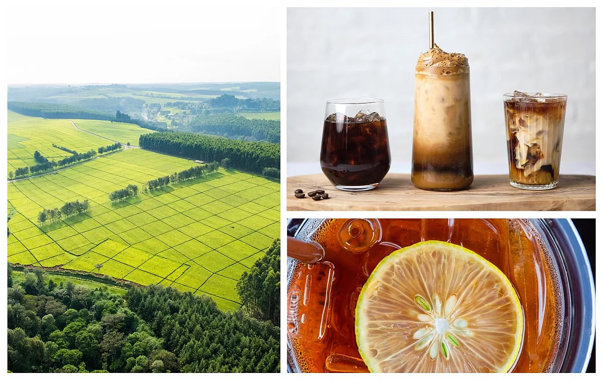 Firmenich & Finlays to help brands capitalize on growth in natural, sustainably sourced tea & coffee solutions