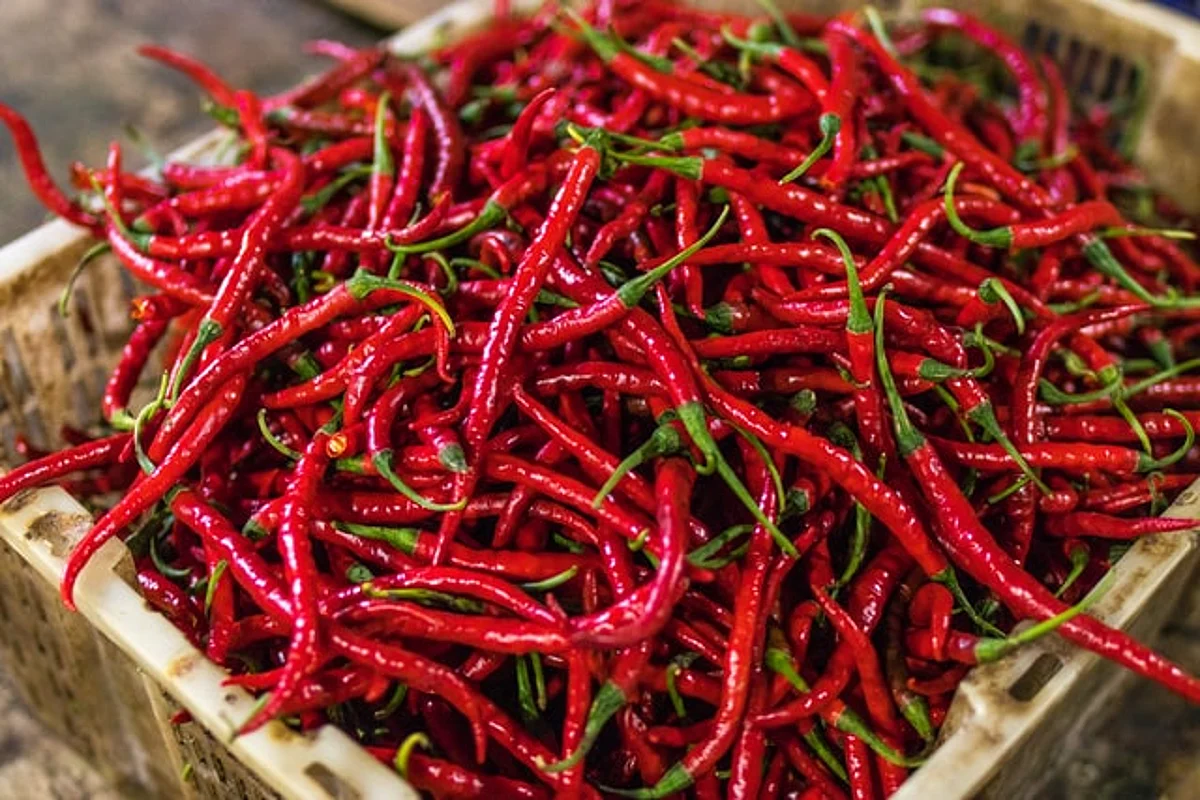Nestlé India pledges to further help spice farmers in India through the MAGGI Spice Plan