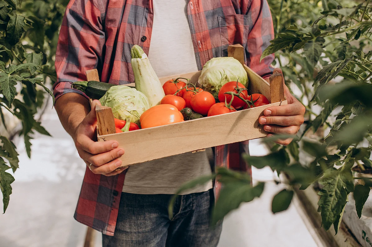 Ninjacart launches $25Mn Agri Seed Fund to accelerate agri digital revolution
