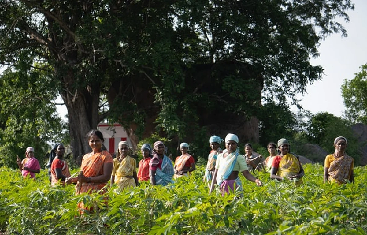 MAVIM launches eBusiness portal for women farmers & entrepreneurs