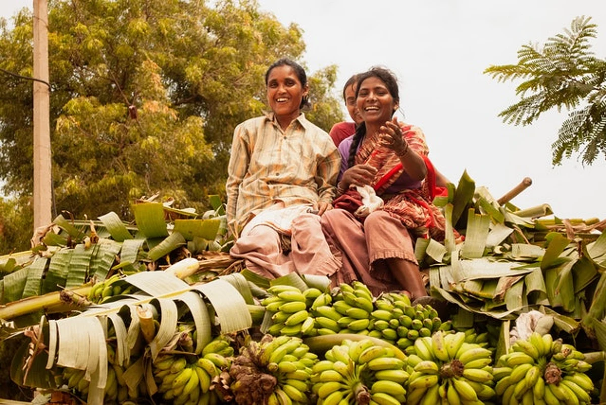 Indian banana & baby corn get market access in Canada