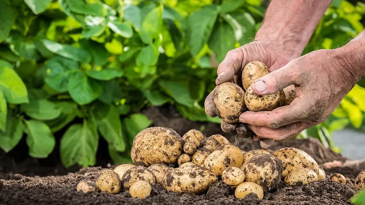 Regenerative agriculture transition to be accelerated through new impact fund