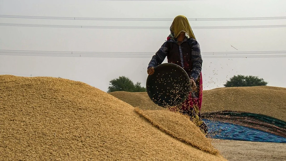Government announces some relaxation in wheat export notification