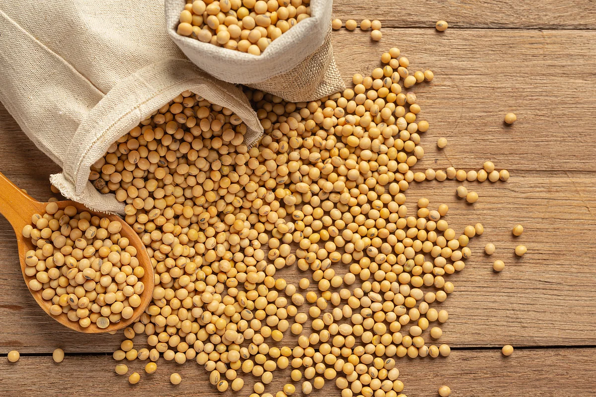 Cargill to build new soybean processing facility in Southeast Missouri