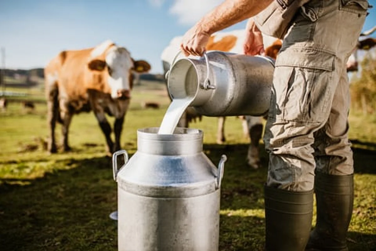 With peak carbon behind it, Nestlé zeros in on dairy emissions