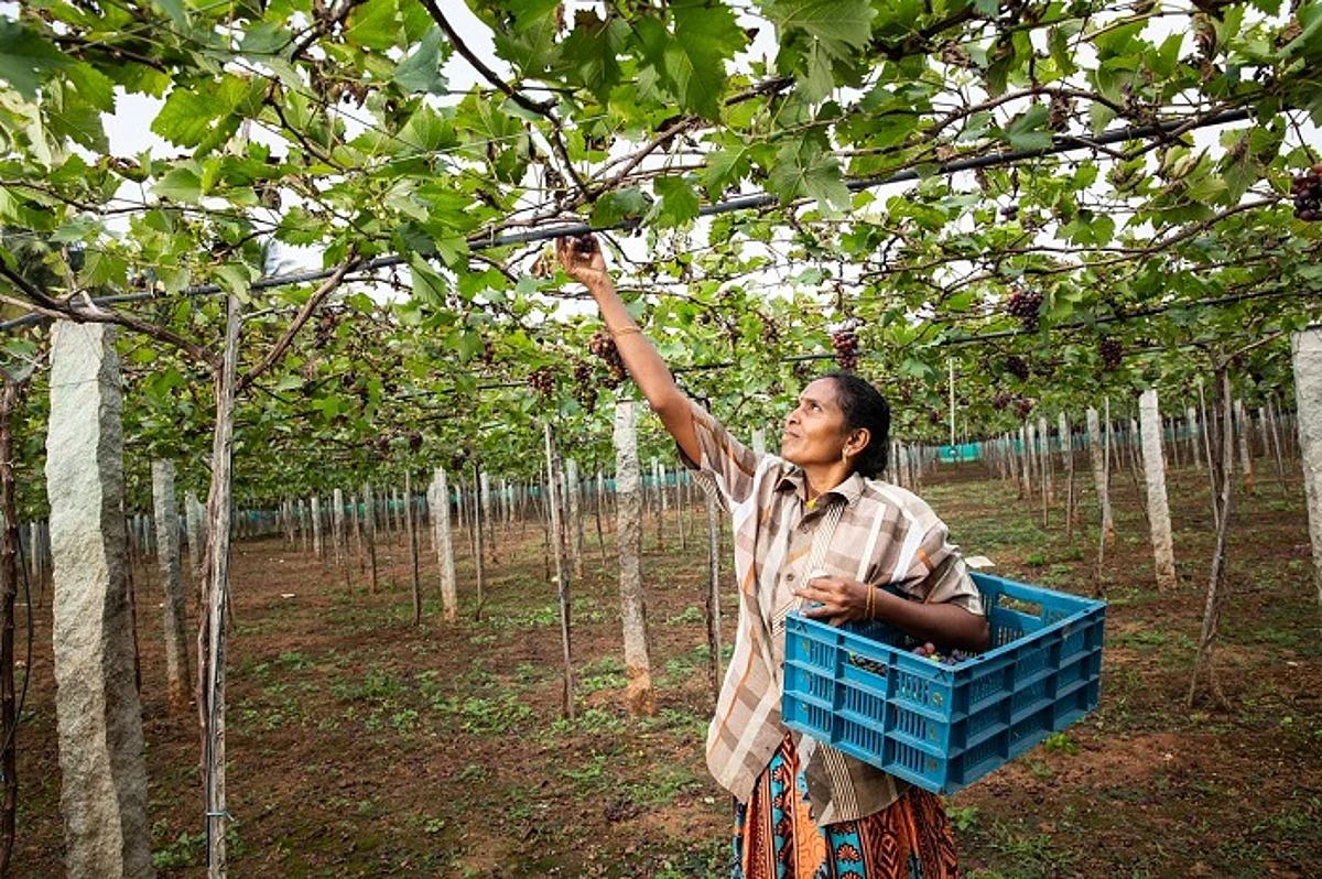 Coca-Cola India’s Project Unnati touched lives of 3.5 lakh plus farmers across 12 states in India