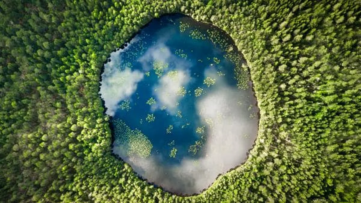 Firmenich receives SBTi approval for net-zero emissions target