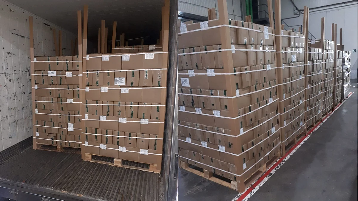 Intercont+ successfully shipped Boiled Corn Cobs via multi-modal route