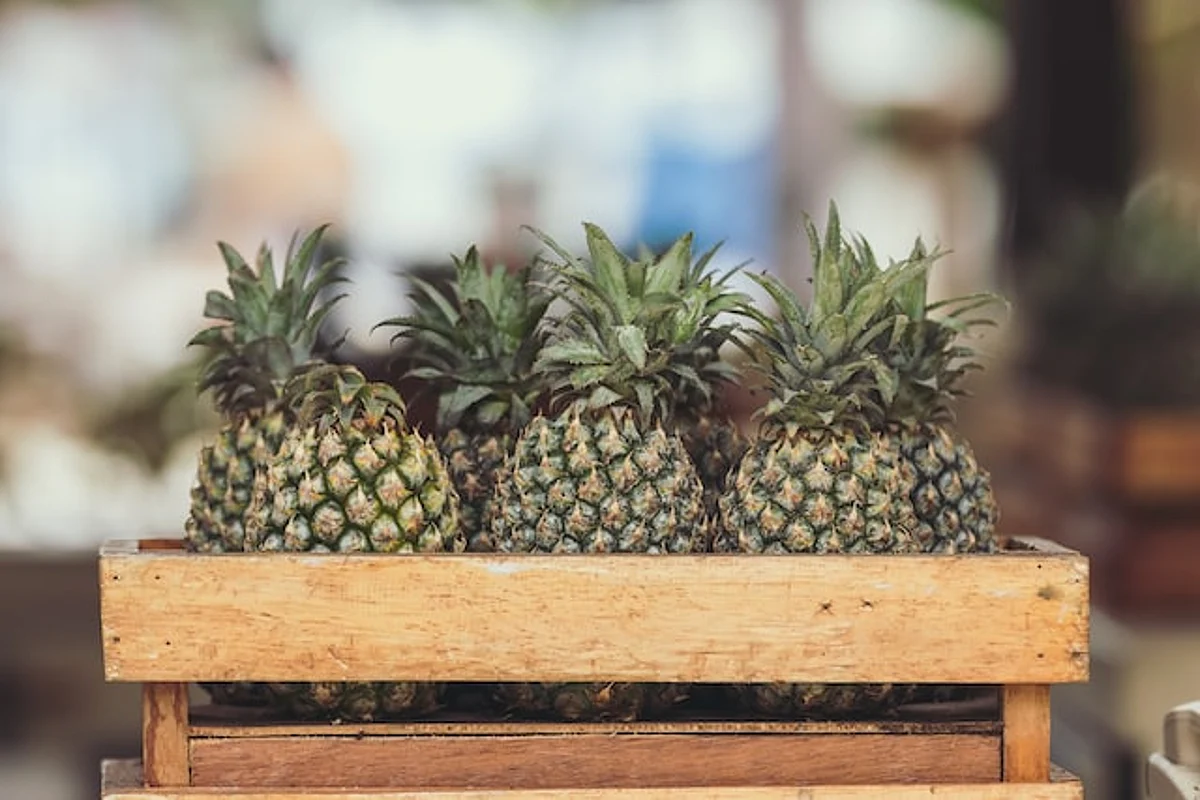Centre in collaboration with the Government of Manipur organizes in-store export promotion show in Dubai for pineapples