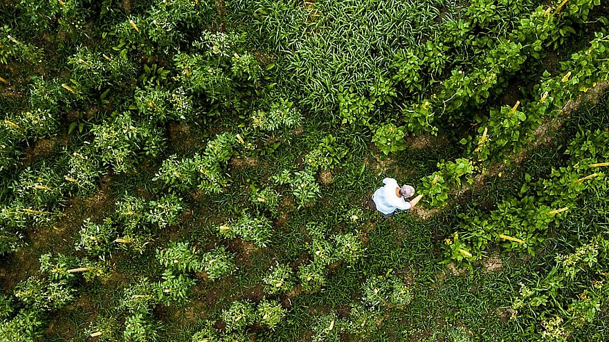 Tetra Pak's latest Sustainability Report highlights new milestones