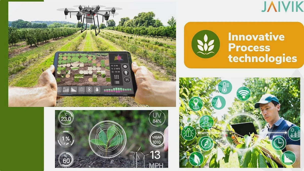 Innovation in the supply chain