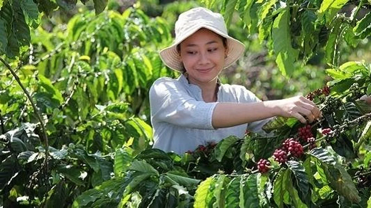 Nestlé launches Nescafé Plan 2030 to help drive regenerative agriculture, reduce greenhouse gas emissions and improve farmers' livelihoods