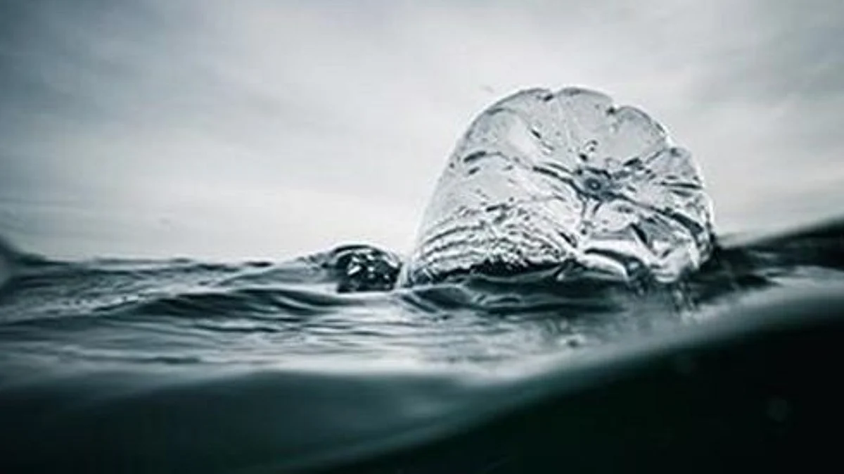 Mondi endorses a common vision for a global treaty to end plastic pollution