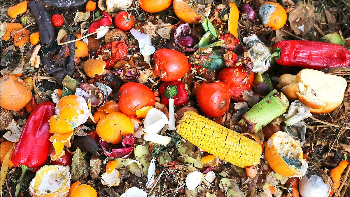 Food Wastage