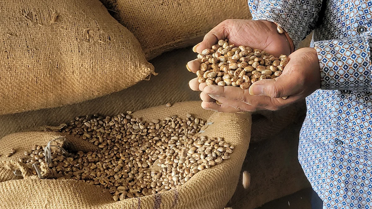 BASF SE and its partners publish year six impacts for ‘Pragati’, the sustainable castor bean program