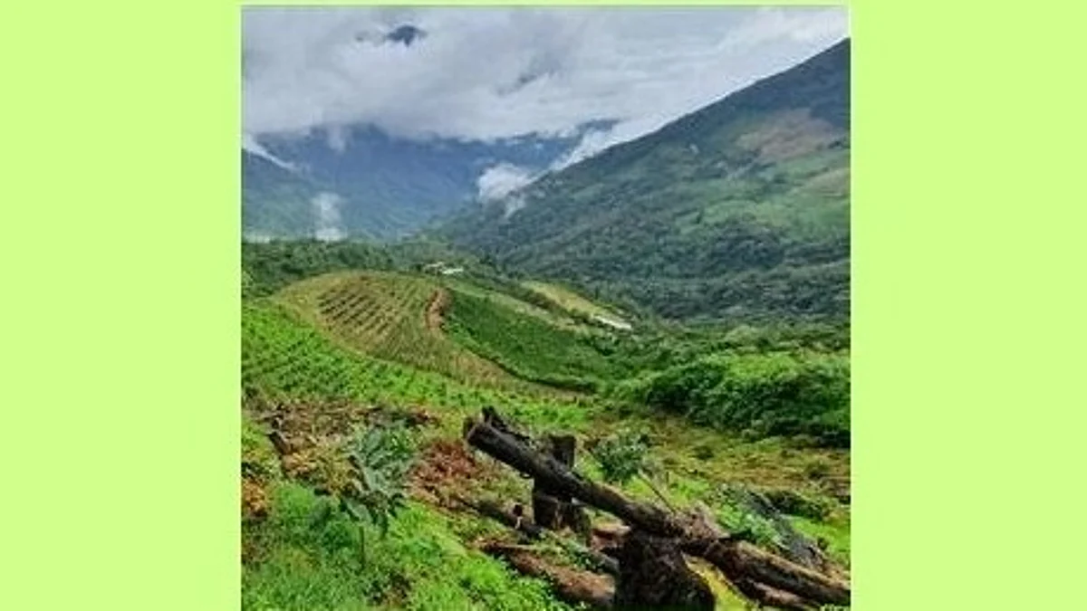 Westfalia shaping the sustainable future of food