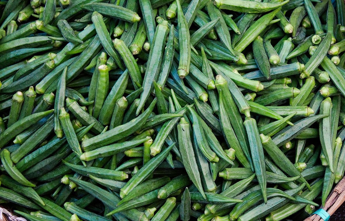 First consignment of vegetables exported to UAE from Uttarakhand