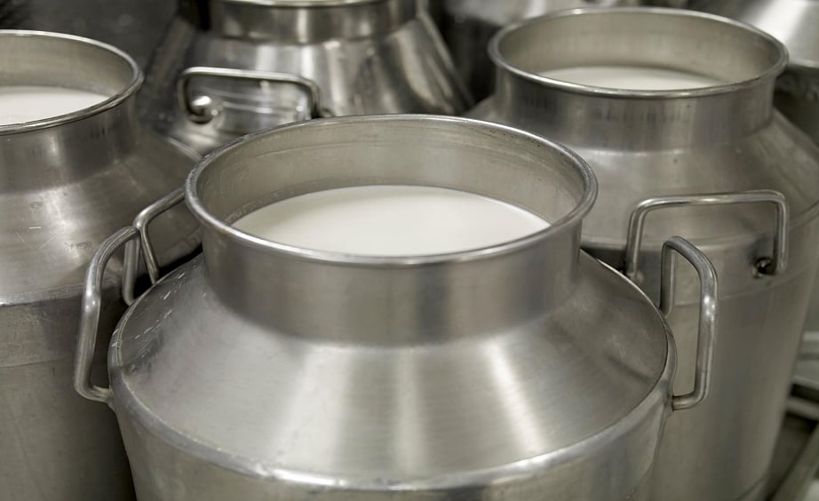 CRISIL research data on milk procurement by dairy companies in India