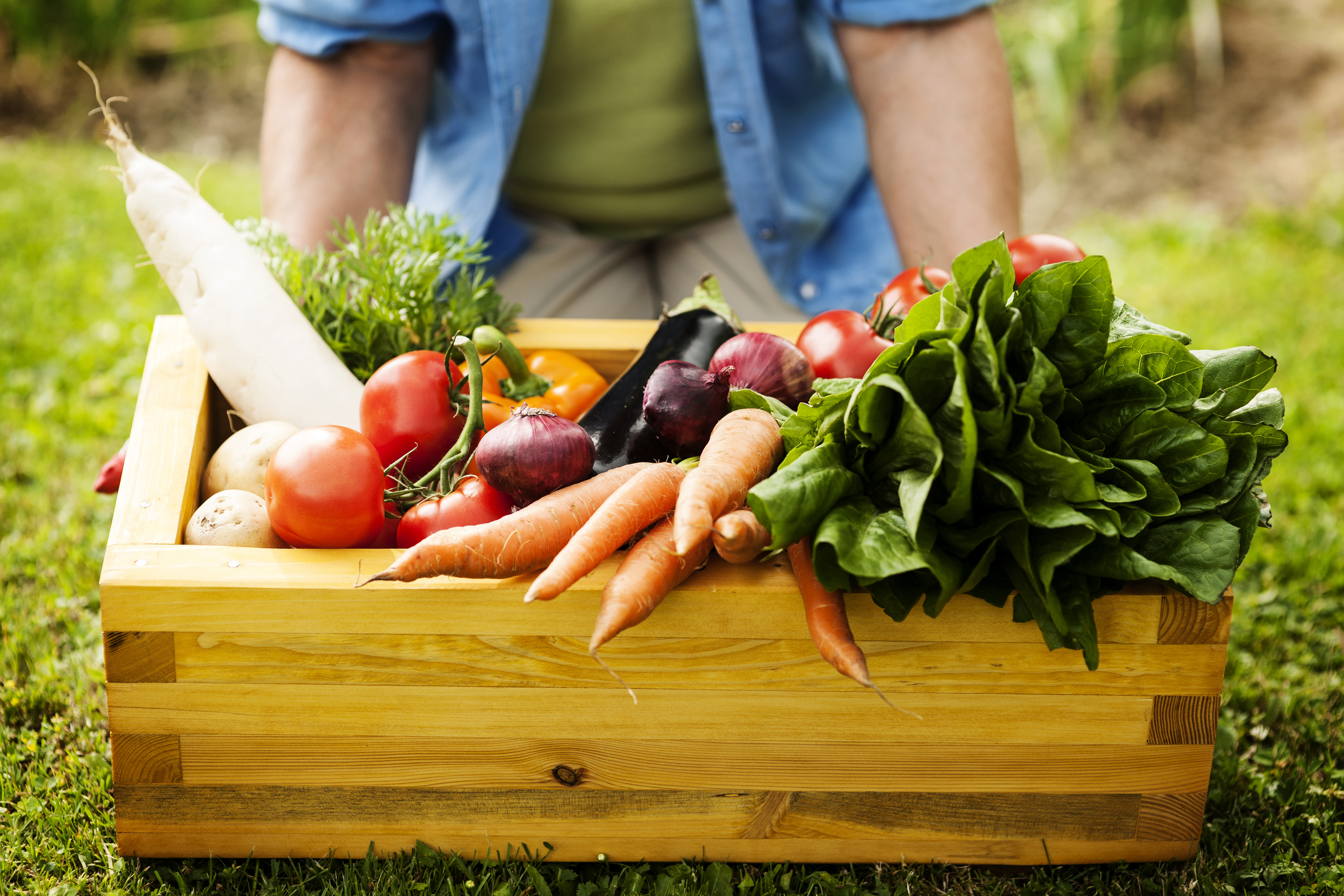 57 Stars Invests In WayCool India s Leading Food Agri tech Platform