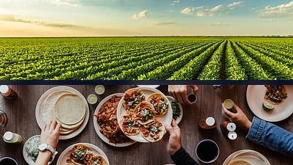 ADM & Benson Hill partner to scale innovative ultrahigh protein soy