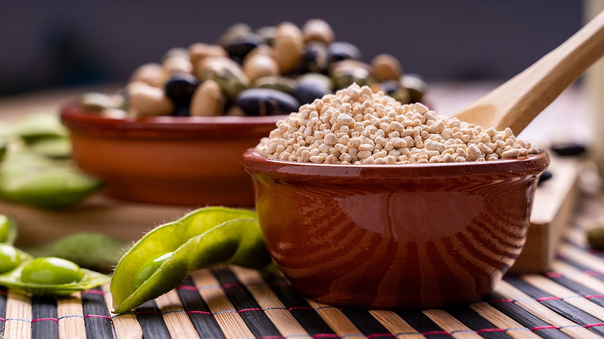 Lecithin An essential ingredient in our foods