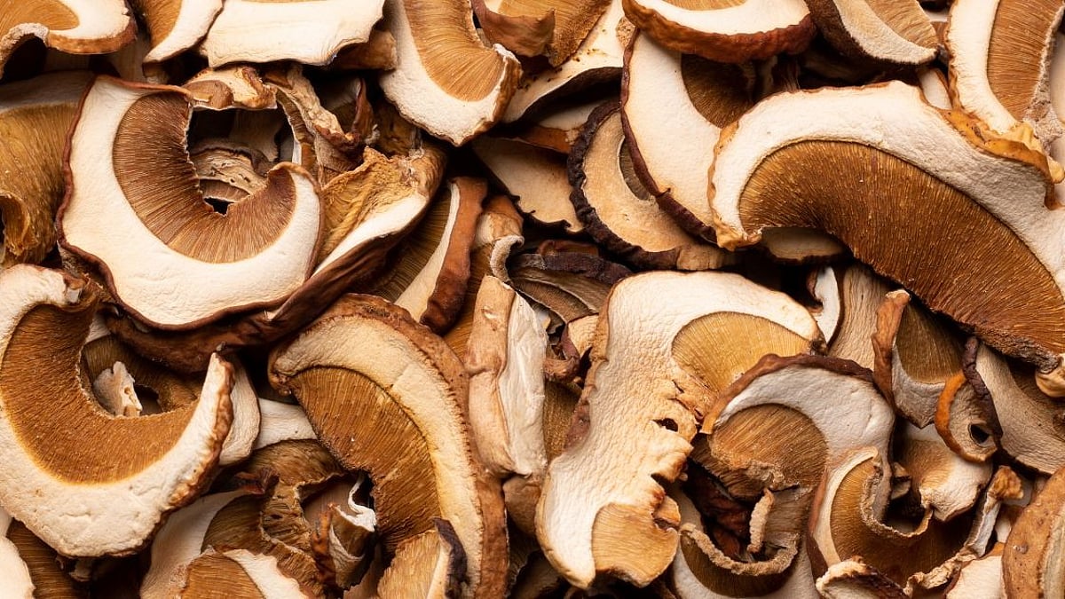 Everything to know about ROHA’s premium range dehydrated mushrooms
