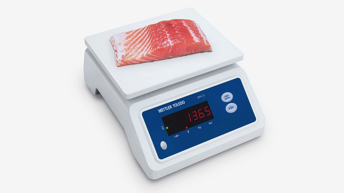 Portable weighing scale for wet & harsh applications