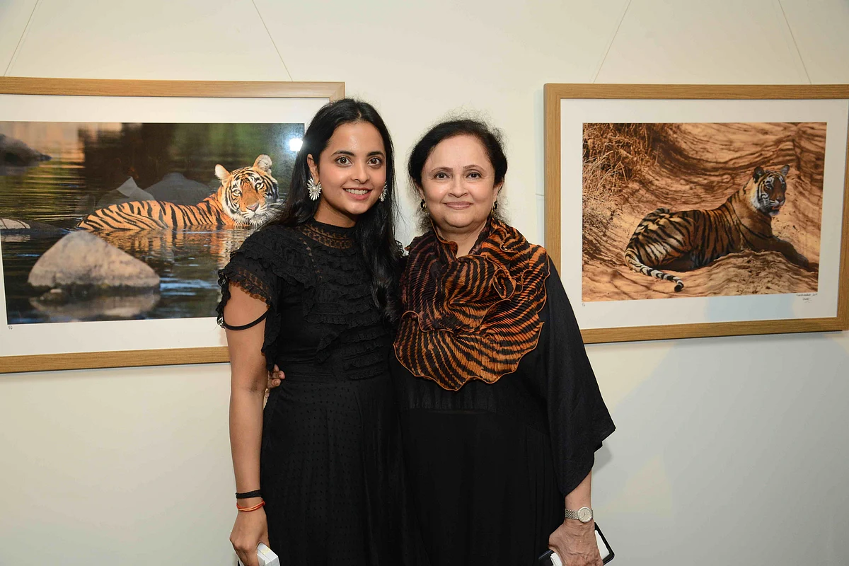 Why the Save the Tiger exhibition is a must-see
