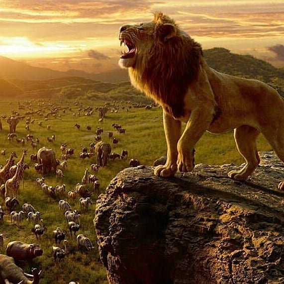 'The Lion King' collects Rs 65.19 cr at Box Office in India