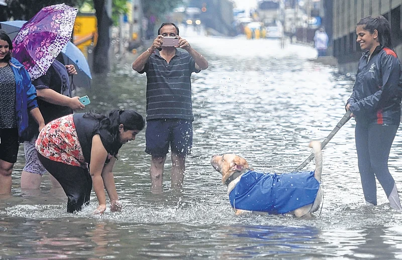 Parel: Playtime