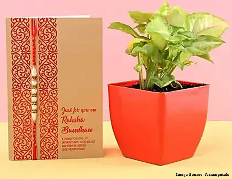 Raksha Bandhan 2019: From meenakari to leather rakhis, our guide to quirky rakhis