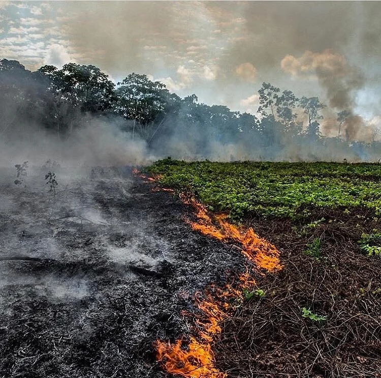 In Pics: Fires in Amazon rainforest rage at record rate